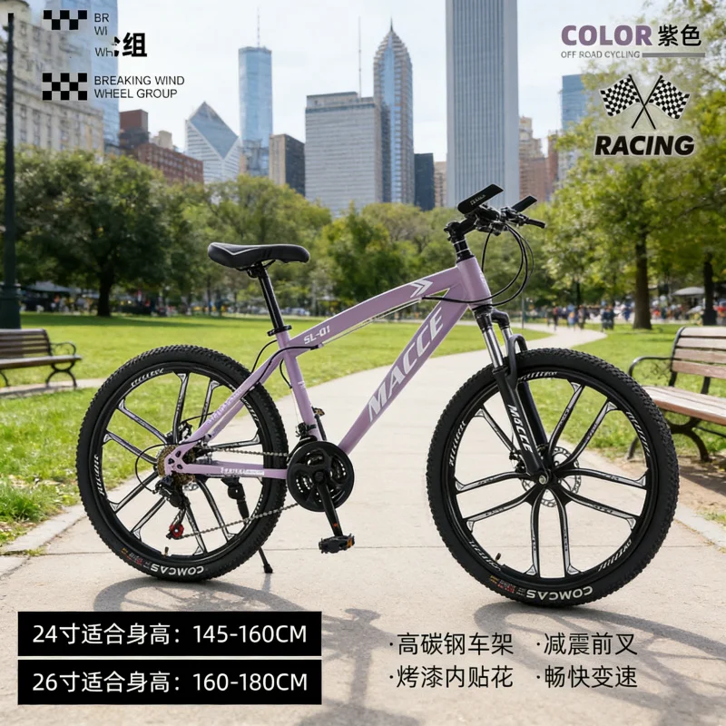 Purple 10-Speed High-End Mount - Cycling Low Gear review and price