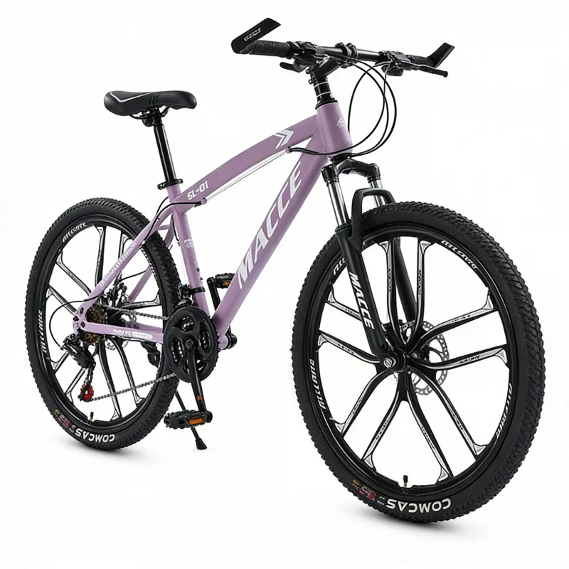 Purple 10-Speed High-End Mount - Cycling Low Gear review and price