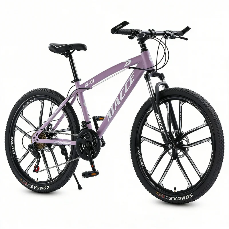 Purple 10-Speed High-End Mount - Cycling Low Gear review and price