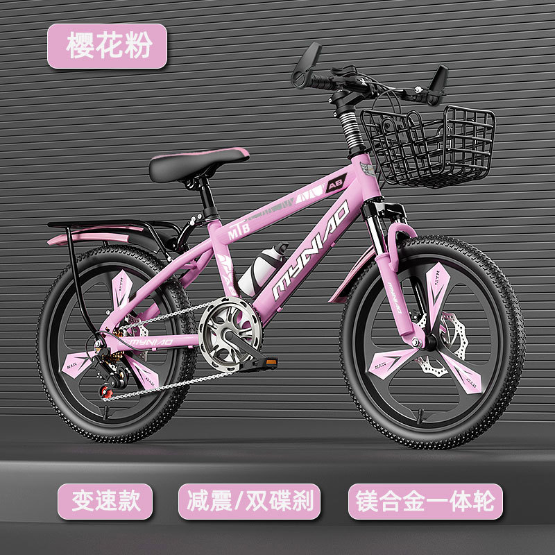 18-24 Inch Adult Mountain Bike - Cycling Low Gear review and price