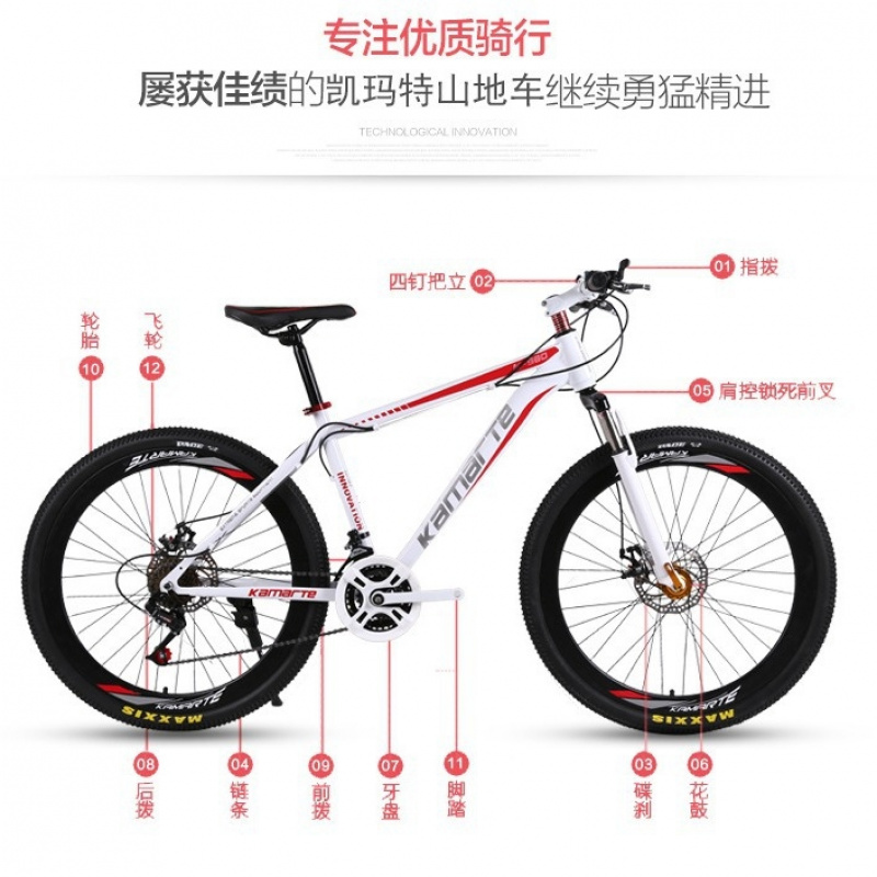 26-inch Youth & Adult Mountain - Cycling Low Gear review and price