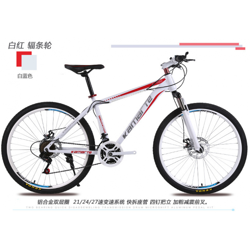 26-inch Youth & Adult Mountain - Cycling Low Gear review and price