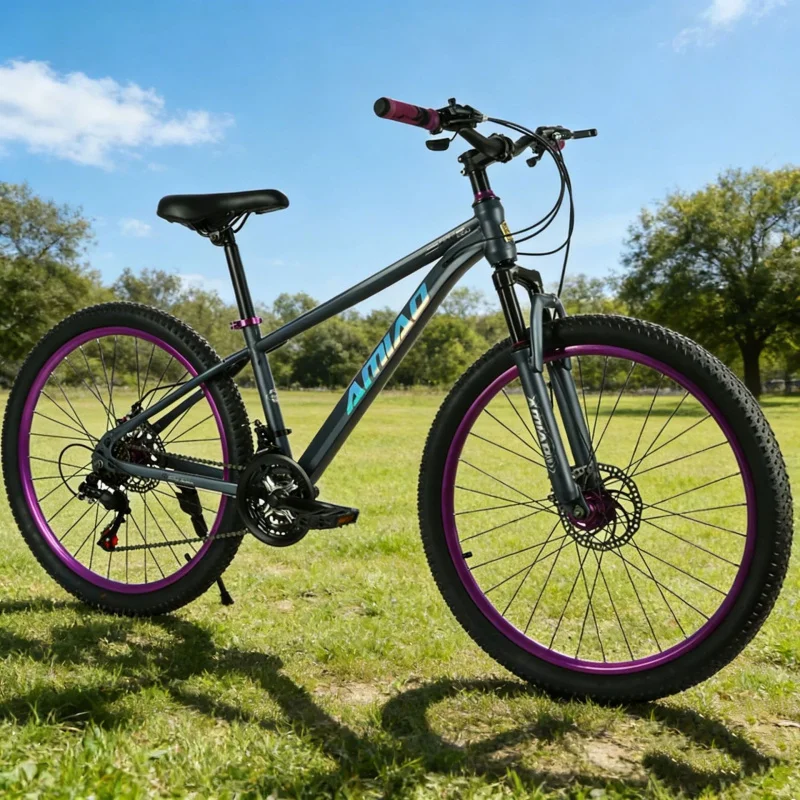 Multi-speed Mountain Bike Ligh - Cycling Low Gear review and price