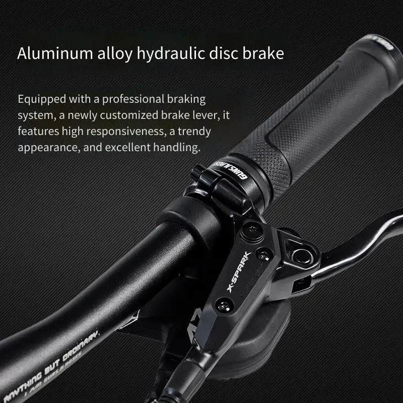 Aluminum Frame Hydraulic Disc  - Cycling Low Gear review and price